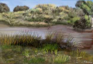 River and Bush.